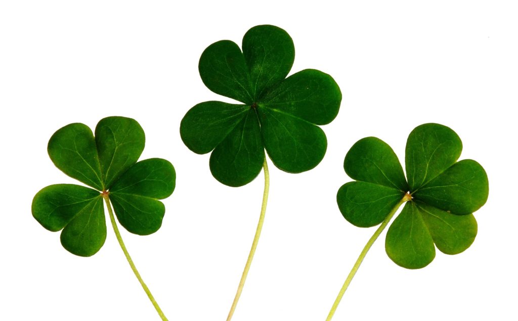 6 Simple Ways to Celebrate St. Patrick's Day in Your Homeschool