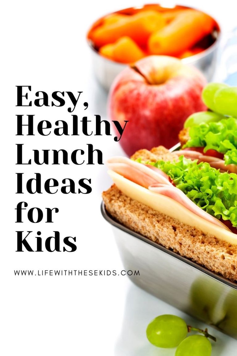 Easy & Healthy Lunch Ideas for Your Homeschool